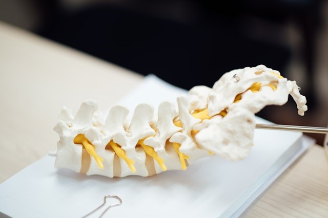 Signs You May Have a Spine Injury After a Car Accident