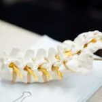 Signs You May Have a Spine Injury After a Car Accident